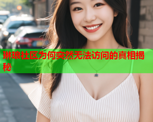 琳琅社区为何突然无法访问的真相揭秘  第2张